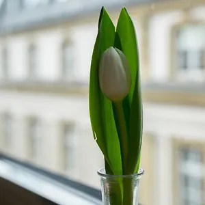 https://hotel-sankt-andreas.topcolognehotels.com